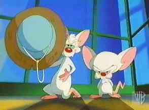 Pinky and the Brain