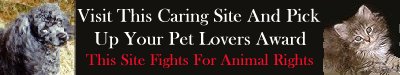 Pet Lovers Banner