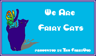 we are fairy cats